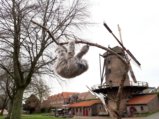 thumbnails/004-20220101_220753
                                  Xanten.jpeg.small.jpeg