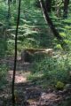 thumbnails/000-IMG_4003.JPG.small.jpeg
