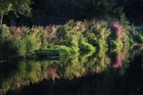 thumbnails/010-IMG_7302.JPG.small.jpeg