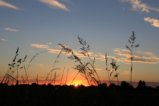 thumbnails/016-IMG_7596a.JPG.small.jpeg