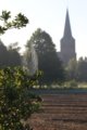 thumbnails/002-IMG_8825a.JPG.small.jpeg