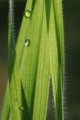 thumbnails/015-IMG_0518a.JPG.small.jpeg