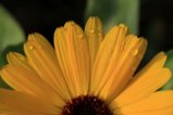 thumbnails/016-IMG_0523k.JPG.small.jpeg