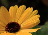thumbnails/017-IMG_0528a.JPG.small.jpeg