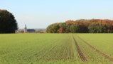 thumbnails/020-IMG_0535a.JPG.small.jpeg