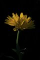 thumbnails/023-IMG_0558a.JPG.small.jpeg