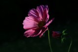 thumbnails/024-IMG_0562a.JPG.small.jpeg