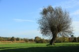 thumbnails/027-IMG_0582a.JPG.small.jpeg