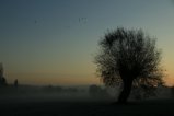 thumbnails/029-IMG_0620KS.JPG.small.jpeg