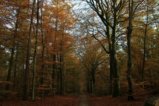 thumbnails/032-IMG_1835k.JPG.small.jpeg